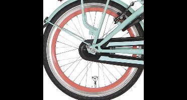 Alpina achterwiel 20 remnaaf J19DB salomon zink spk