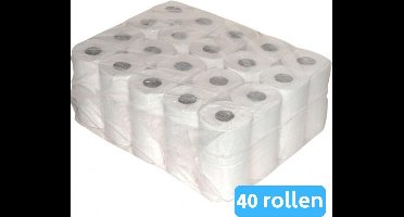 TOILETPAPIER TISSUE 40 ROLLEN 2 LAAGS 400 VEL