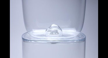 Qualy - Voorraadpot Voedselcontainer IJsbeer