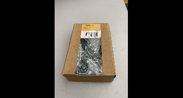 SPAANPLAATSCHR. 4.0 X 20 VERZINKT 100 STUKS