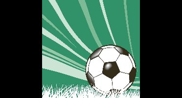 Duni Servetten Voetbal 3-laags 33 Cm Groen 20 Stuks