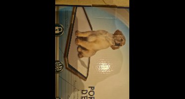 Simple solution Trainingspadhouder plateau