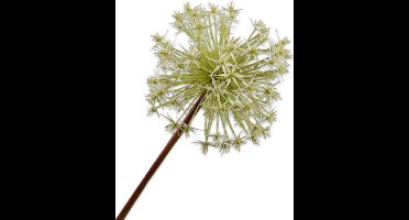 Silk-ka Kunstbloem-Zijden Bloemen Allium Steel Wit 104 cm