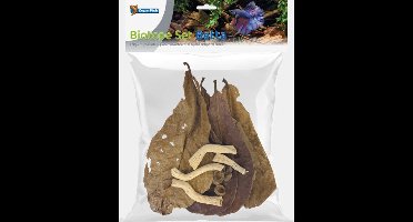 SuperFish Biotope Set Betta