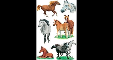 Etiket herma 3553 paarden rassen | 10 stuks