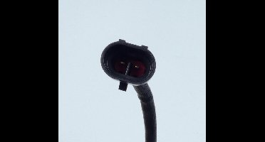 Rms Harley Davidson Electra Glide 2007/2009 7913.20.028 Lambdasonde Zilver