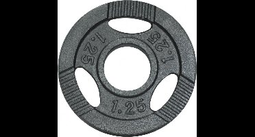 Gorilla Sports Gewicht - Halterschijf - 1.25 kg - Gripper Gietijzer - 50/51 mm