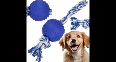 Springos Hondenspeelgoed - Kauwbeen - Apporteren -Honden - Speeltje -Blauw - Rubber