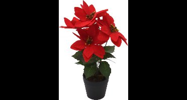 Kerstster, kunstbloem, 29 cm