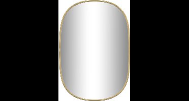 vidaXL - Wandspiegel - 50x35 - cm - goudkleurig