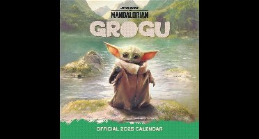 The Mandalorian Broschurkalender 2025