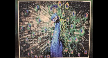 Diamond painting - Pauw - 40x50 cm