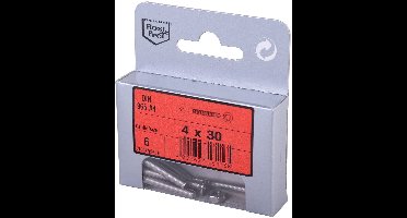 Verzonken kopschroef met moer (DIN 965/934-A4)