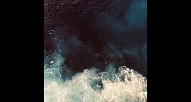 Vilhelm Bromander - Jorden vi ärvde (LP)