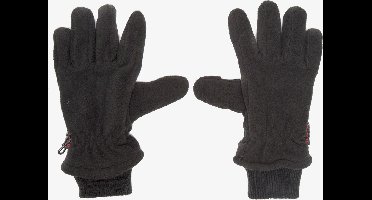 Fleece handshoenen zwart - Maat L