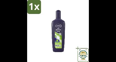 1 x Andrélon - Men - Iedere Dag - Shampoo - 300 ml- Shampoo Voor Mannen - Dagelijks Haarverzorging - Fris Haar - Zeezout Shampoo - Zonnebloemolie Shampoo