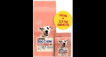 Purina Dog Chow Sensitive - Droge hondenvoeding - Zalm - Voor gevoelige magen - Gezonde huid & vacht - Voor volwassen honden