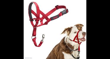 Company of Animals dog dumbbell,2,red,2