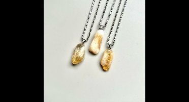 Gemstone ketting Citrien