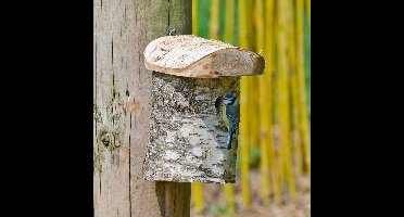 CJ Wildlife Nestkast - Aanbevolen door de Vogelbescherming Nederland - Stockholm - 28mm - Nestkastje voor o.a. Koolmees, Boomklevers & Mussen - Houten Vogelhuisje - FSC-gecertificeerd