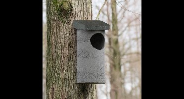 CJ Wildlife Nestkast voor Bosuil, Kauwen & Holenduiven - Woodstone Nestkastje - Vogelhuisje - FSC-gecertificeerd - Grijs