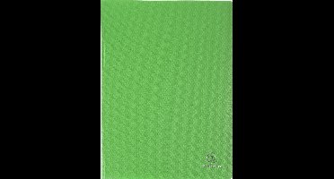 Exacompta 10x OPAK showalbum PP 5/10e - heldere tassen - 50 tassen - 100 zichten - A4 - Lichtgroen - 8853E