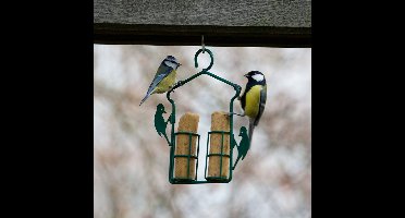 CJ Wildlife - Energierolhanger - Groen - Vogelvoederplek