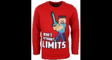 Minecraft T-shirt Lange Mouw - Maat 152 / 12 jaar