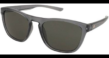 Zonnebrillen Alpina Gleam Grey Transparent Gloss/Green