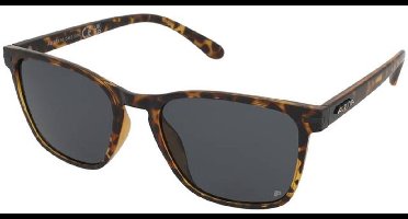 Zonnebrillen Alpina Yefe P Havana Gloss/Black