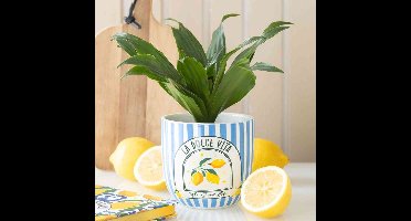 Something Different - Blue Striped La Dolce Vita Plantenpot - Multicolours