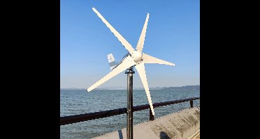 Windturbine - Windmolen - Windturbine Generator - Windenergie - 2000W - 24V - Alleen Windturbine - 5 Messen - Stille en Efficiënte Energieoplossing - voor Thuisgebruik