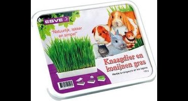 Esve knaagdiergras weidebloem