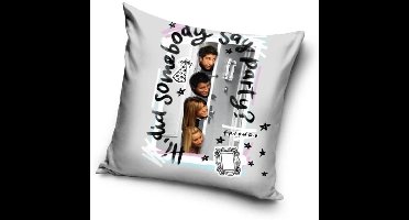 Friends Party 40x40 cm Velours Kussenhoes