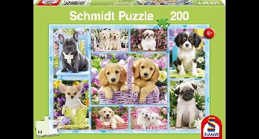 Schmidt Legpuzzel Puppies Junior Karton Groen 200 Stukjes