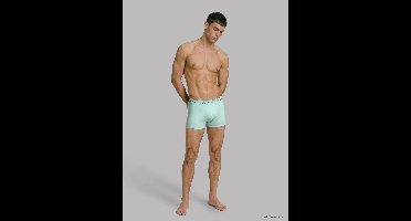 Calvin Klein Onderbroek Boxer Brief 5pk Lv00nb4413 3zr Black/light Cast/feel The Mint/shor Mannen Maat - L