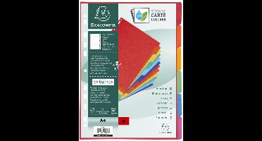 EXACOMPTA kartonnen tabbladen, DIN A4+, 12-delig