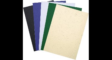 EXACOMPTA schutbladen / dekbladen FOREVER, A4, zwart, met leerstructuur