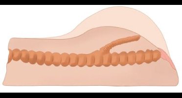 Power Escorts Doggy Style Vibrating Masturbator – 1125 Gram – br-n12159