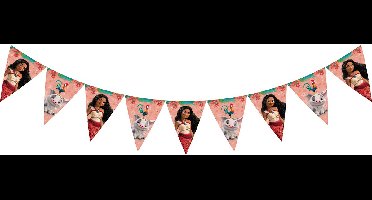 Vegaoo - Vaiana 2 wimpelslinger