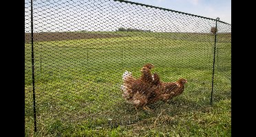 Universeel multifence Kerbl 12 meter