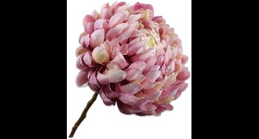 Silk-ka Kunstbloem Chrysant Tak Roze-Creme 64 cm