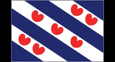 Talamex Friese vlag  50 x 75 cm