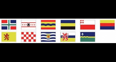 Talamex Provincievlag Provincie: Overijssel 30 x 45 cm