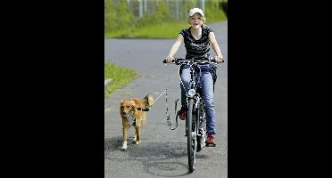 Flamingo fietsbeugel Doggy Sprinter - 30 x 30 cm