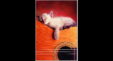 Educa Mijn gitaar - 500 stukjes