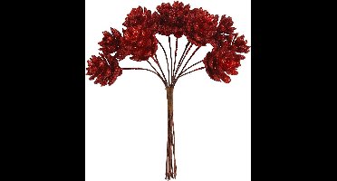 Creotime Kunstdennenappels 20 Mm 12 Stuks Rood