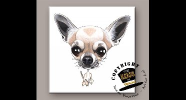 Tegel Hond Chihuahua