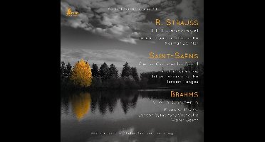 Early Stereo Recordings I - R Strauss. Saint-Saens. Brahms