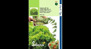 Hortitops Zaden - Salanova - Virtuose Rz (Groen)wordt Vivanto RZ